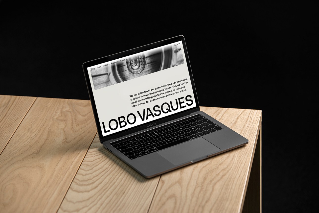 Lobo Vasques law firm website