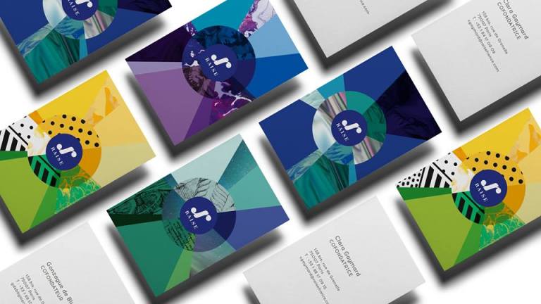 Raise Financial Service business cards