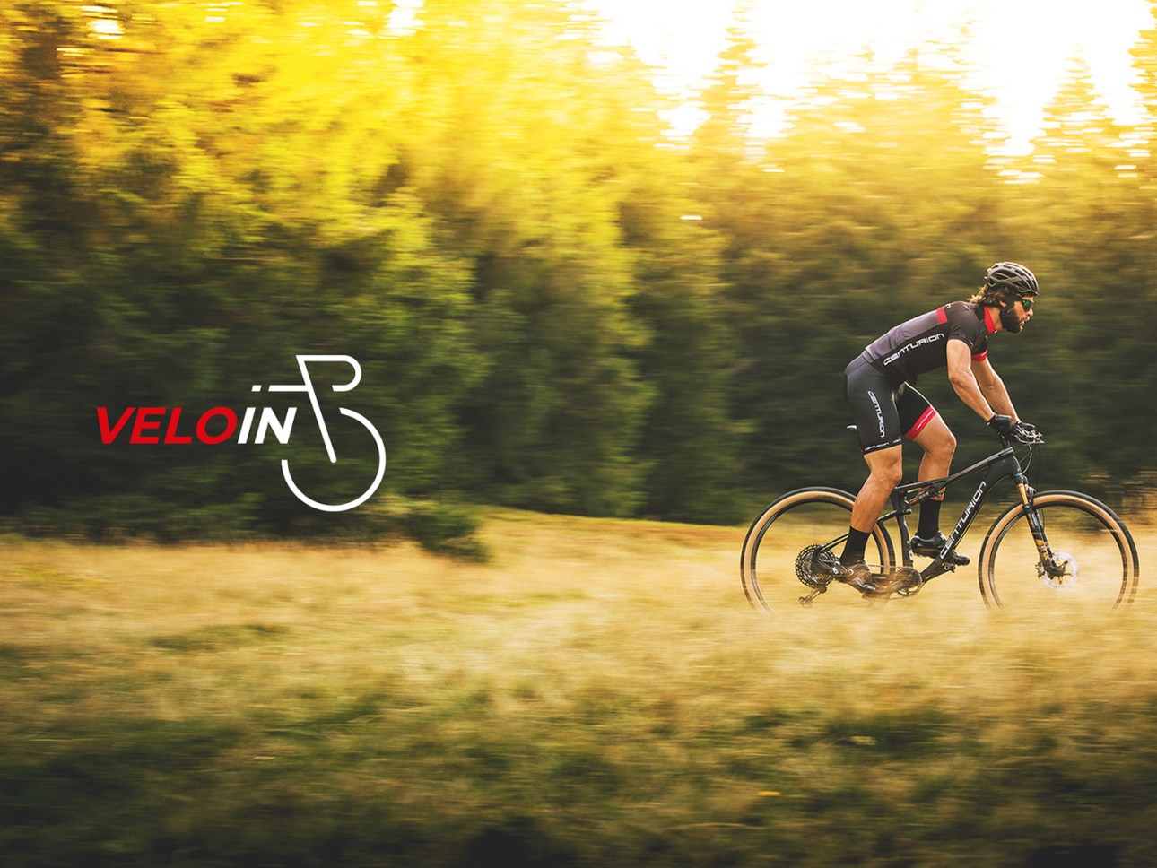 VeloIn bike shop logo design